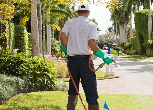 About Denair CA Pest Control